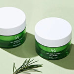 Two green jars of Dr. Ceuracle Tea Tree Purifine 80 Cream on a pale green surface, accompanied by fresh tea tree leaves, highlighting its soothing and clarifying properties.