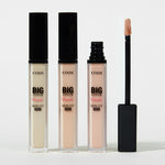Three Etude Big Cover Skin Fit Pro concealers in varying shades, with an applicator wand displayed alongside.