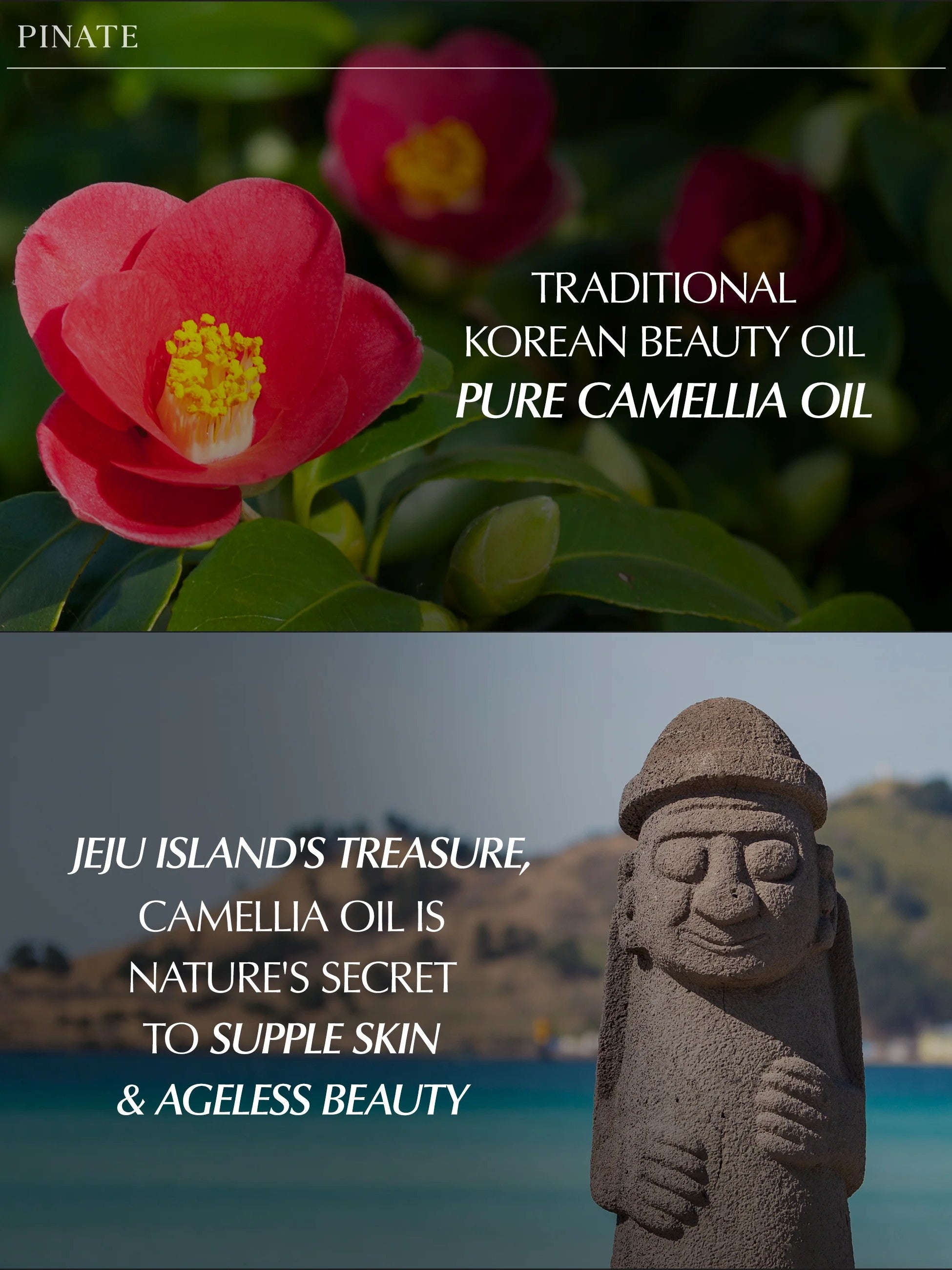 pinate natural bloom lip oil serum red camellia ingredients